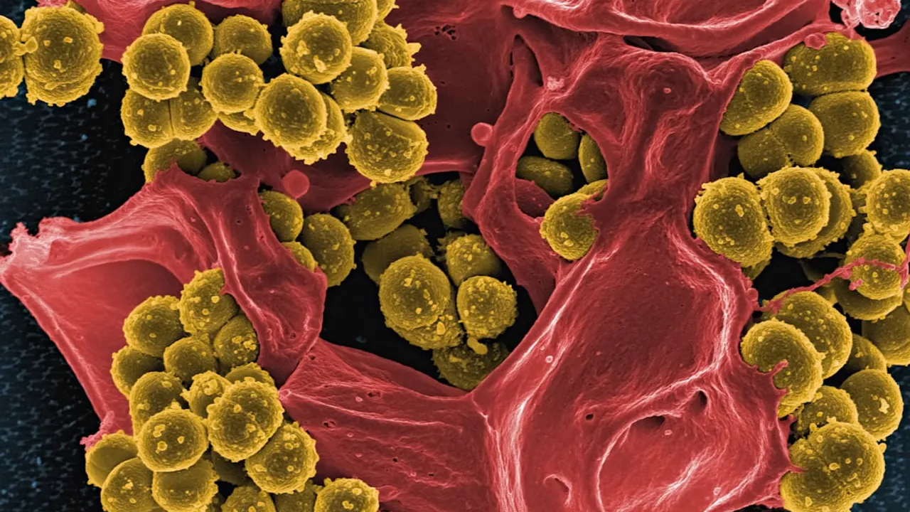 a close up of a red and yellow substance