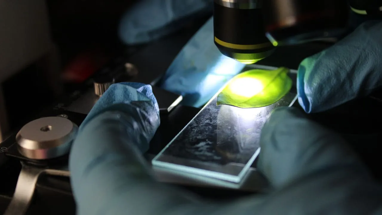 Scientist examining a microscope slide under magnification with precision focus.
