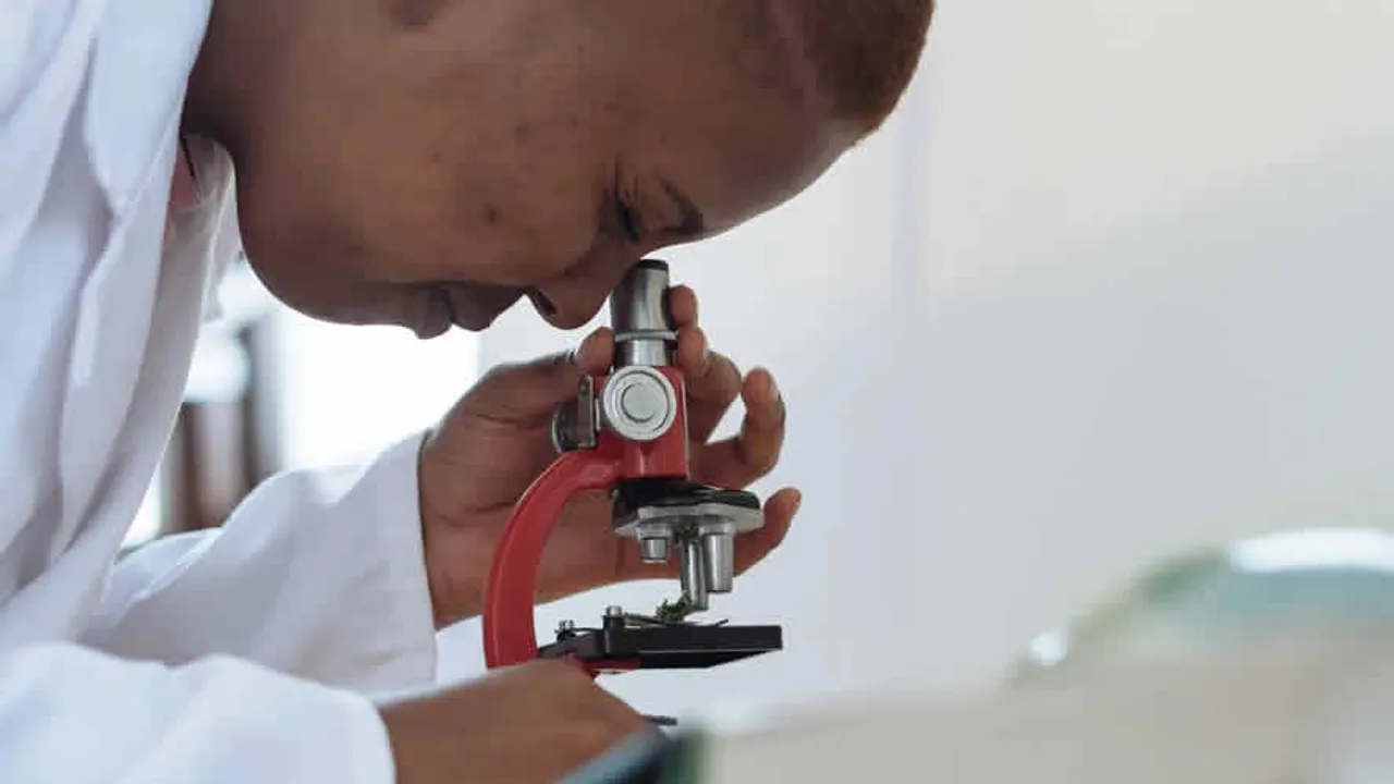 Image from diabetes.co.uk: New Gel Aims to Help Transplanted Insulin-Producing Cells Survive