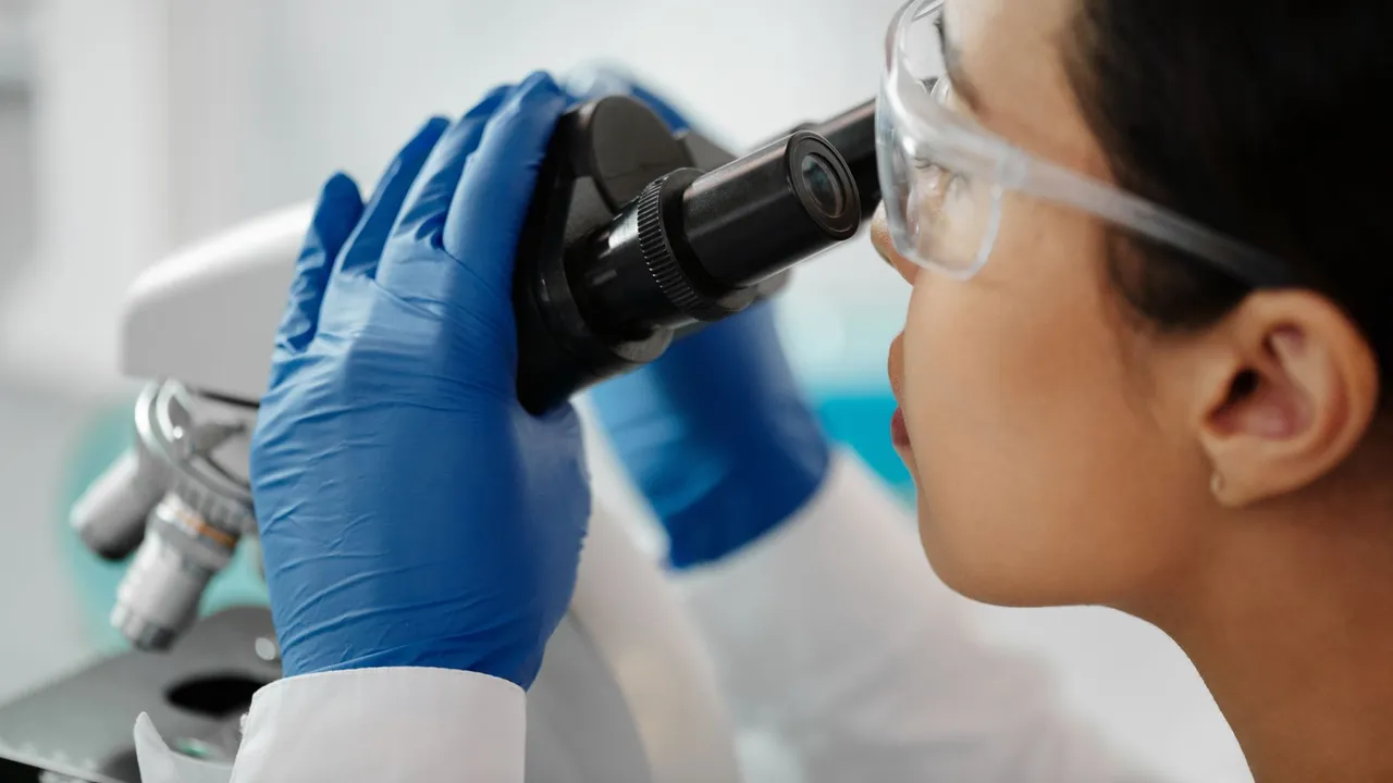 Scientist wearing safety glasses examines samples with a microscope in a lab.