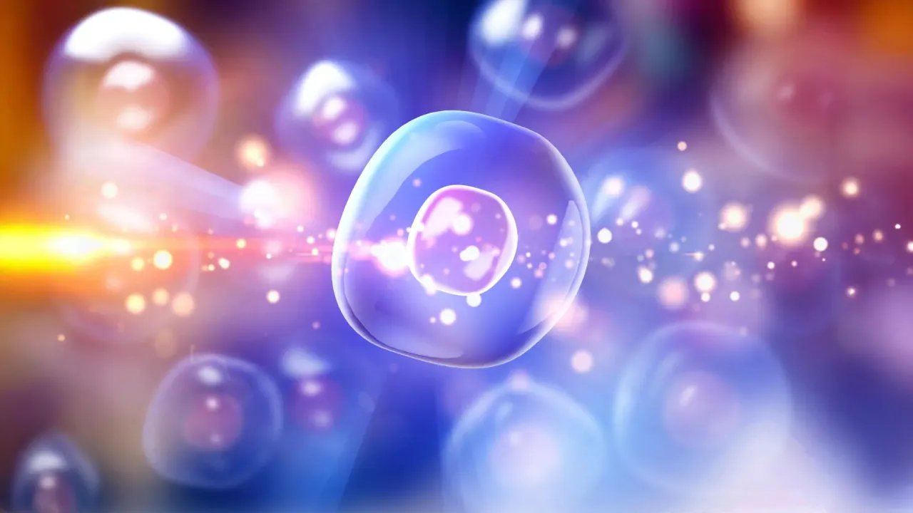 Image from sciencedaily.com: Stanford Researchers Restore Insulin Production in Mice Using Dual Cell Transplant